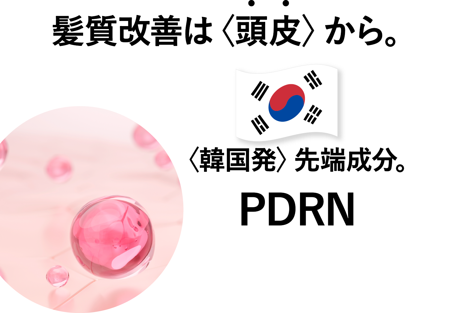 髪質改善は〈頭皮〉から。〈韓国発〉先端成分。PDRN