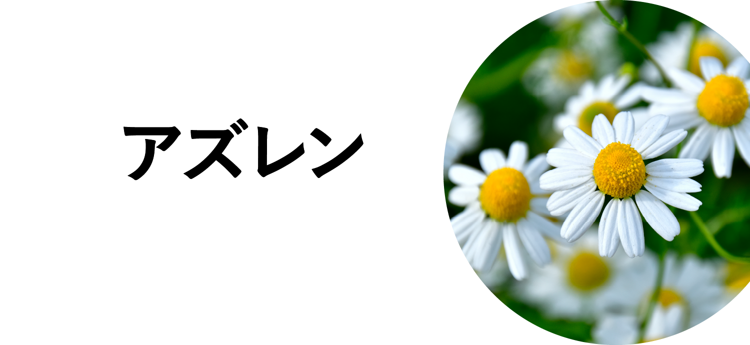 アズレン