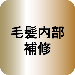 毛髪内部補修