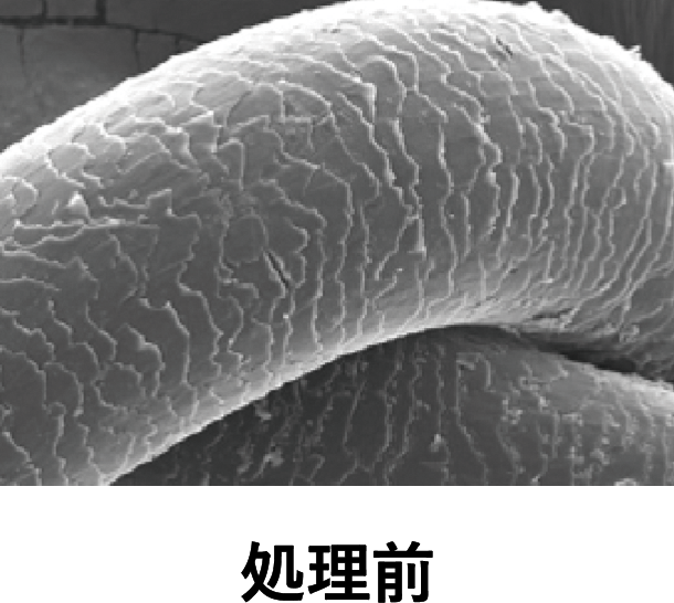 処理前