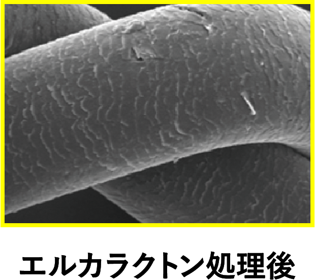エルカラクトン処理後