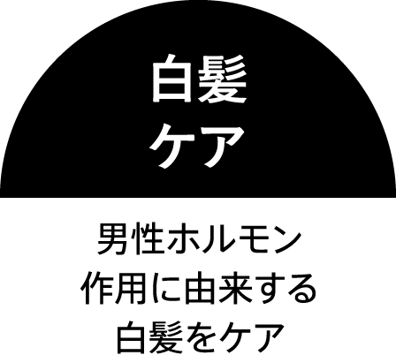 ⽩髪ケア 男性ホルモン作⽤に由来する⽩髪をケア