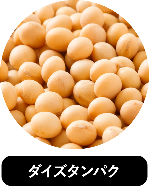 ダイズタンパク