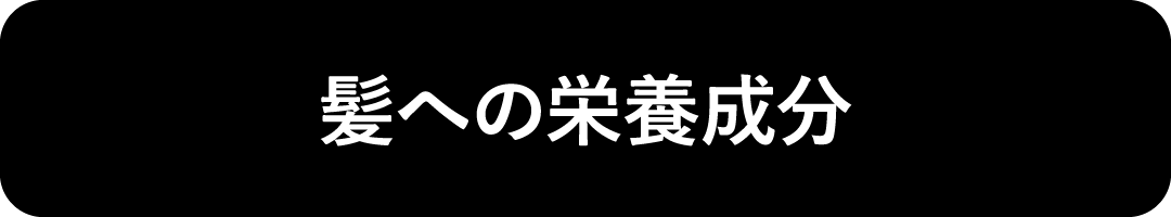 髪への栄養成分