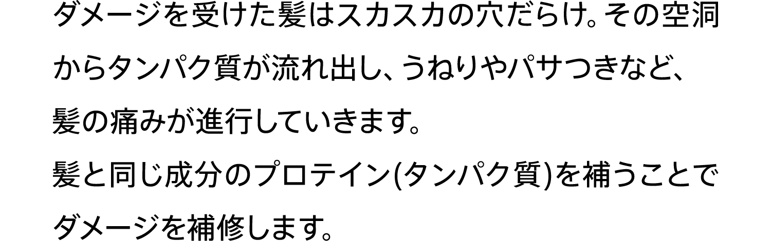 ダメージを受けた髪はスカスカの⽳だらけ。その空洞からタンパク質が流れ出し、うねりやパサつきなど、髪の痛みが進⾏していきます。髪と同じ成分のプロテイン(タンパク質)を補うことでダメージを補修します。