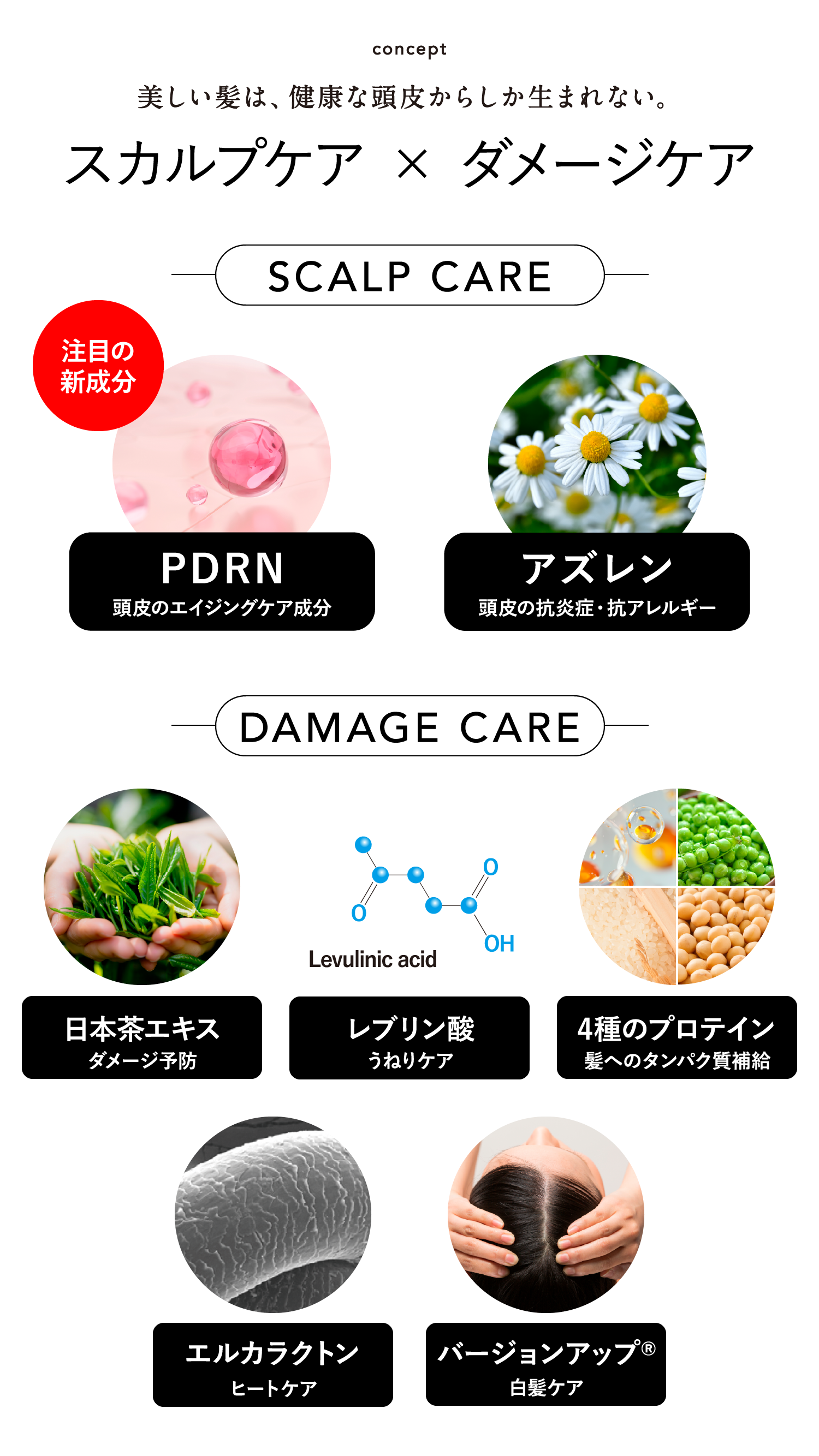 美しい髪は、健康な頭皮からしか生まれない。スカルプケア×ダメージケア